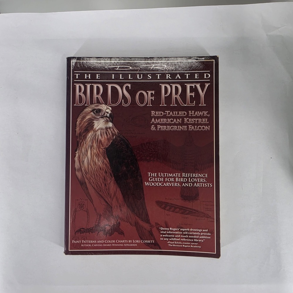 Illustrated Birds of Prey: Hawk, American Kestral, & Falcon 9781565233102